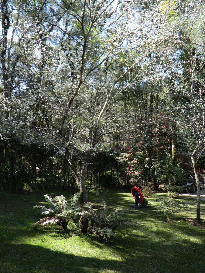Recanto Dos Kerr Monte Verde  Ngoại thất bức ảnh